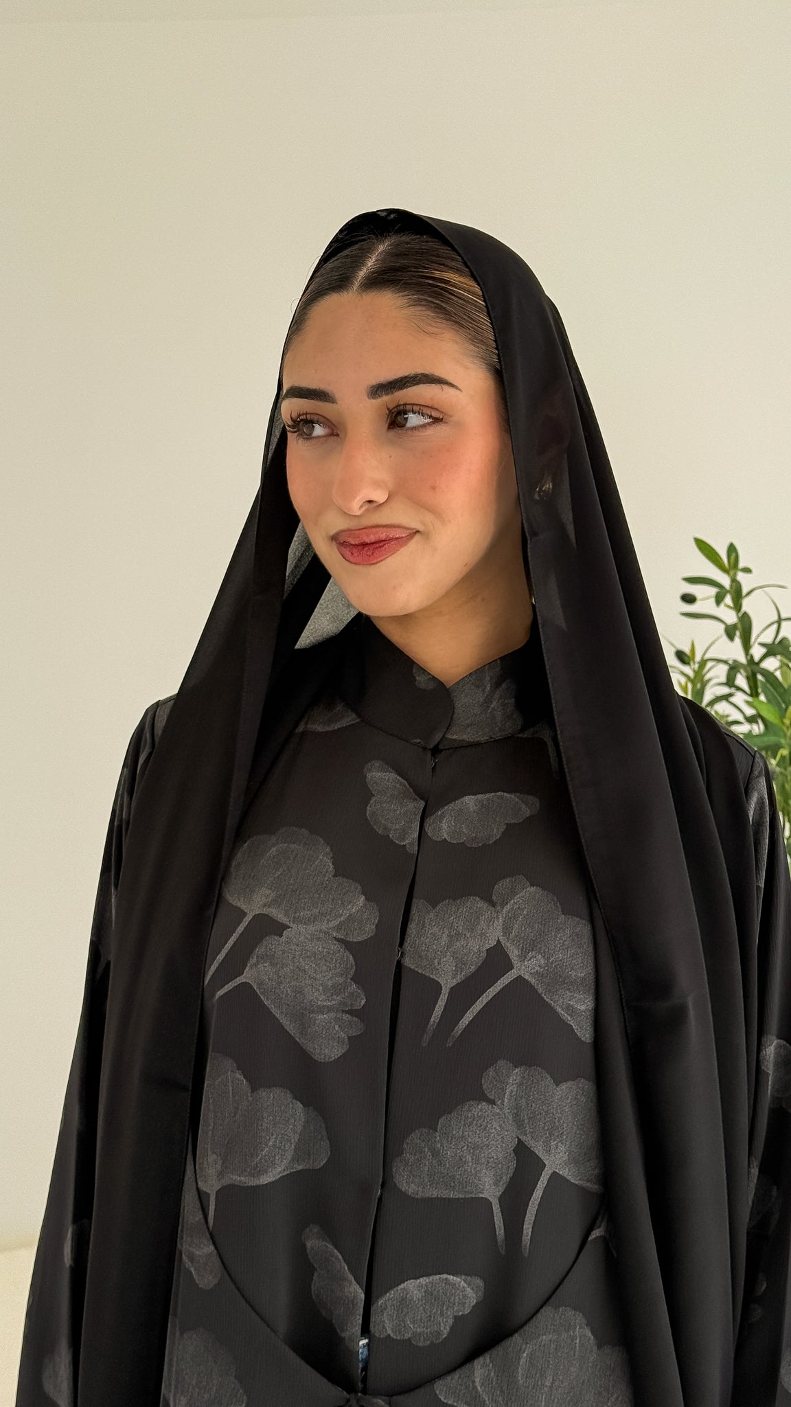 Mireza